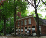 Sprakel in het bos